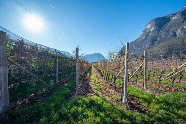 Medium property photo - 39040 Cortina sulla Strada del Vino