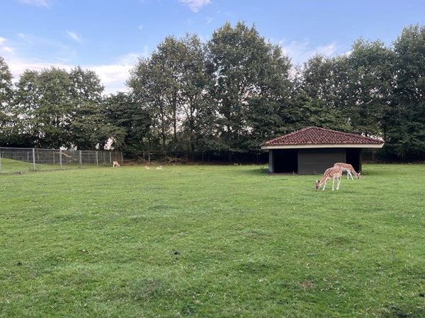 Medium property photo - Boslaan 1-116, 7783 DD Gramsbergen