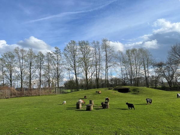 Medium property photo - Boslaan 1-116, 7783 DD Gramsbergen
