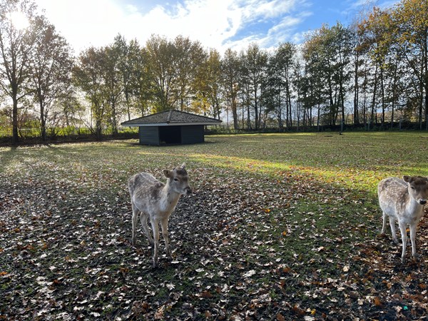 Medium property photo - Boslaan 1-116, 7783 DD Gramsbergen