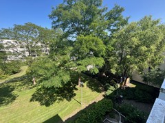 IMG_5839.jpg