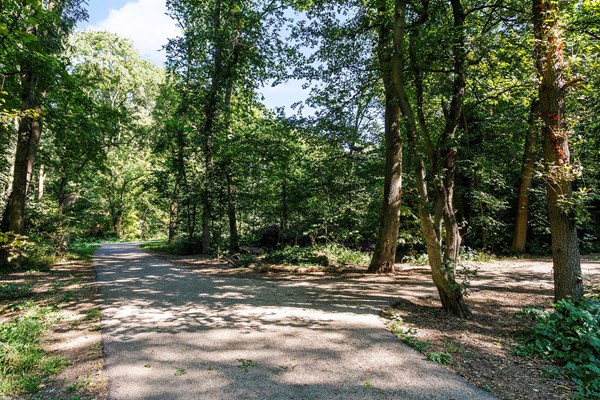 Medium property photo - Zesde Vogelstraat 5, 1022 XE Amsterdam