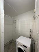 IMG_3351.jpg