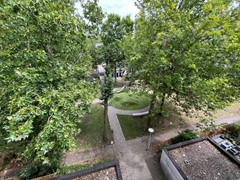 IMG_7023.jpg