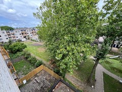 IMG_7024.jpg