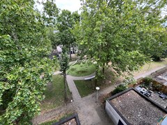 IMG_7025.jpg