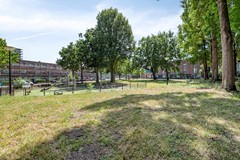 New for sale: Nadezjda Mandelstamstraat 43, 1102 JH Amsterdam
