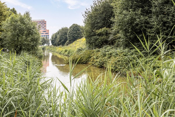 Medium property photo - Boris Pasternakstraat 429, 1102 TD Amsterdam