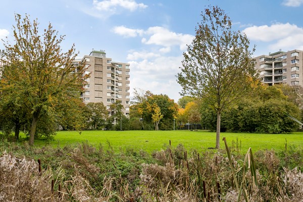 Medium property photo - Gouden Leeuw 222, 1103 KD Amsterdam