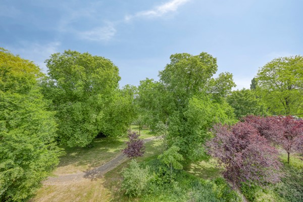 Medium property photo - Wamelplein 56, 1106 DR Amsterdam