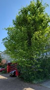New for sale: Parkhof 81, 1106 SZ Amsterdam