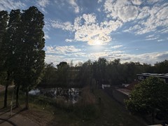 IMG_6735.jpeg