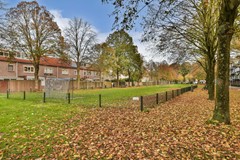 83977083_Tielstraat-30---15.jpg