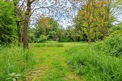 DSC00824.jpg