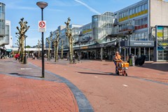 DSC03145.jpg