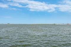 DSC02721.jpg