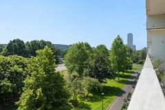 DSC07112.jpg