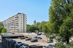 DSC07140.jpg
