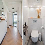 Toilet.jpg