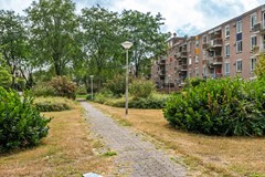 DSC07002.jpg