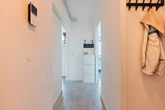 DSC08618.jpg
