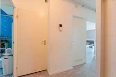 DSC08615.jpg