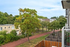 DSC08641.jpg