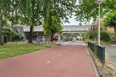 DSC08675.jpg