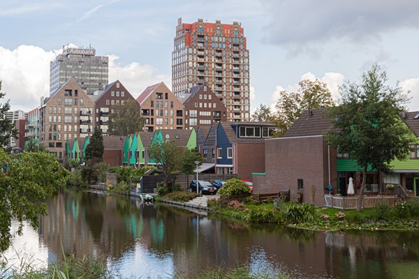 Rented: Hermitage 131, 1506 TX Zaandam