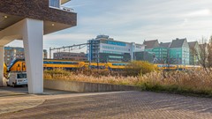 Vurehout 72 Zaandam-48.jpg