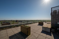 Teakhout 40A, Zaandam-11.jpg