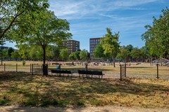 Eva Besnyostraat 389, Amsterdam-6.jpg