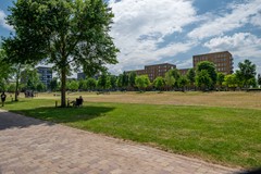 Eva Besnyostraat extra, Amsterdam-03.jpg