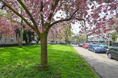 JR_Anthonie_van_Dijckstraat_5hs_Amsterdam-45.jpg