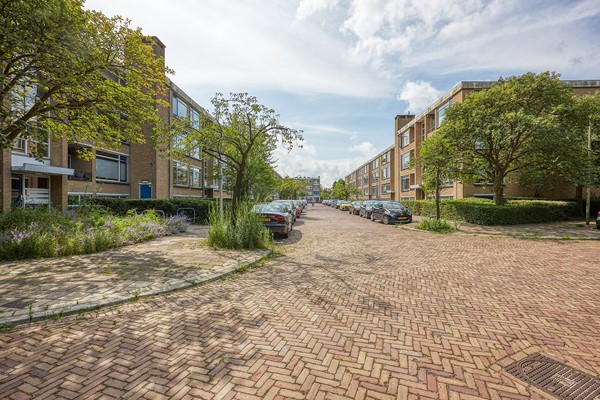 Medium property photo - Van der Haertstraat 54, 2613 ZC Delft