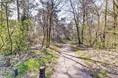 38_ERMELO_3852_LR_Haspel_93_41.JPG