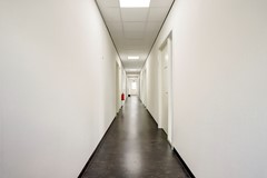 13_ZEEWOLDE_3898_LD_Baardmeesweg_23.JPG