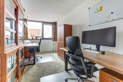 28_ZEEWOLDE_3893_HK_Raaigras_2.jpg