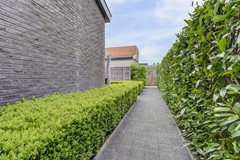 37_ZEEWOLDE_3893_HK_Raaigras_2.jpg