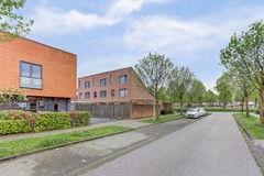 07_ZEEWOLDE_3893_HK_Raaigras_2.jpg