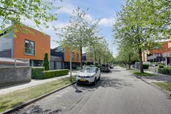 02_ZEEWOLDE_3893_HL_Straatgras_10.jpg