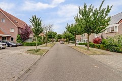 03_ZEEWOLDE_3893_JE_Groene_Specht_11.jpg