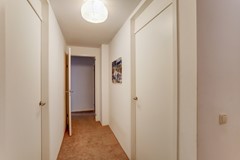 20_ZEEWOLDE_3893_JE_Groene_Specht_11.jpg