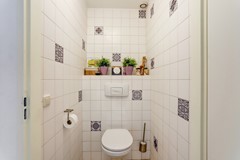 35_ZEEWOLDE_3893_JE_Groene_Specht_11.jpg