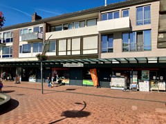 Te koop: Het Ruim 44, 8251EN Dronten