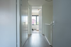 DSC02337Groenling 31.jpg