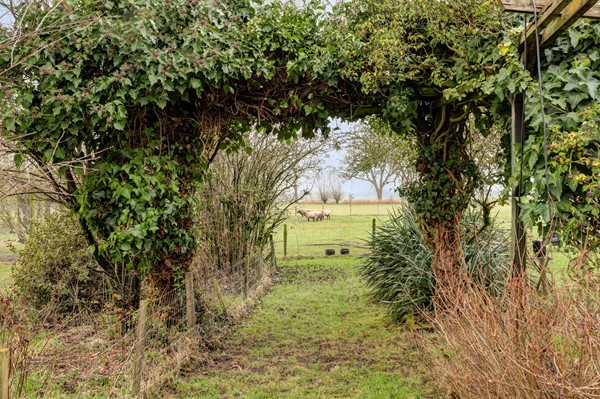 Medium property photo - Veluwsedijk 20, 8166 KP Emst