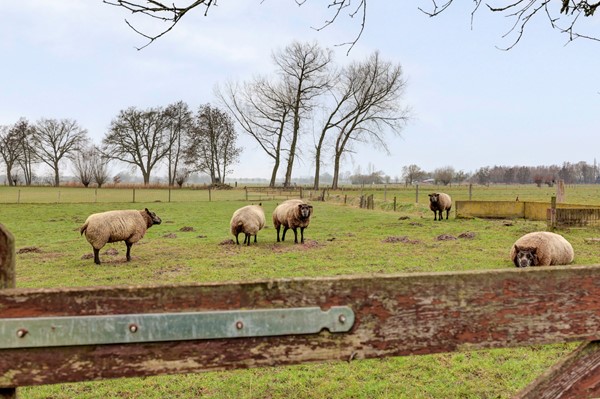 Medium property photo - Veluwsedijk 20, 8166 KP Emst