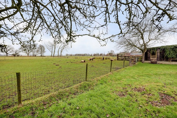 Medium property photo - Veluwsedijk 20, 8166 KP Emst