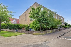 03_ZEEWOLDE_3893_HG_Wollegras_11.jpg